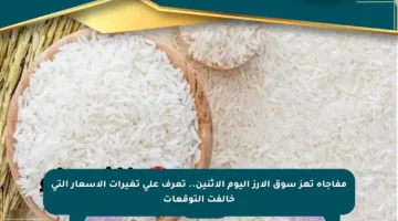 مفاجأة تهز سوق الأرز اليوم الاثنين.. تعرف على تغيرات الأسعار التي خالفت التوقعات